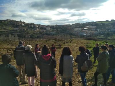 Sustraiak experience at the Bodegas Máximo Abete winery